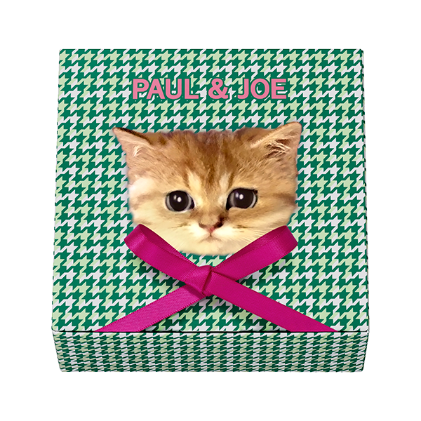 ラッピング  ボックス S 005