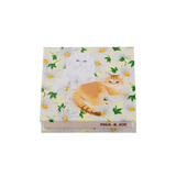 コンパクト リミテッド P