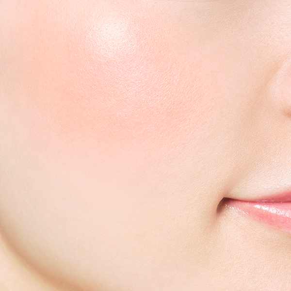 フェイスカラー ブラッシュ 09 フー ドゥ トワ <レフィル> 【1月5日(月)発売】