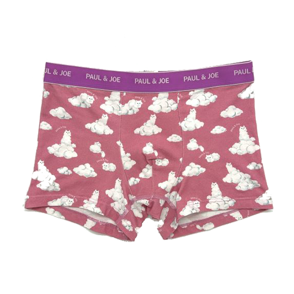 ボクサーパンツ DreamingGipsy(ピンク)