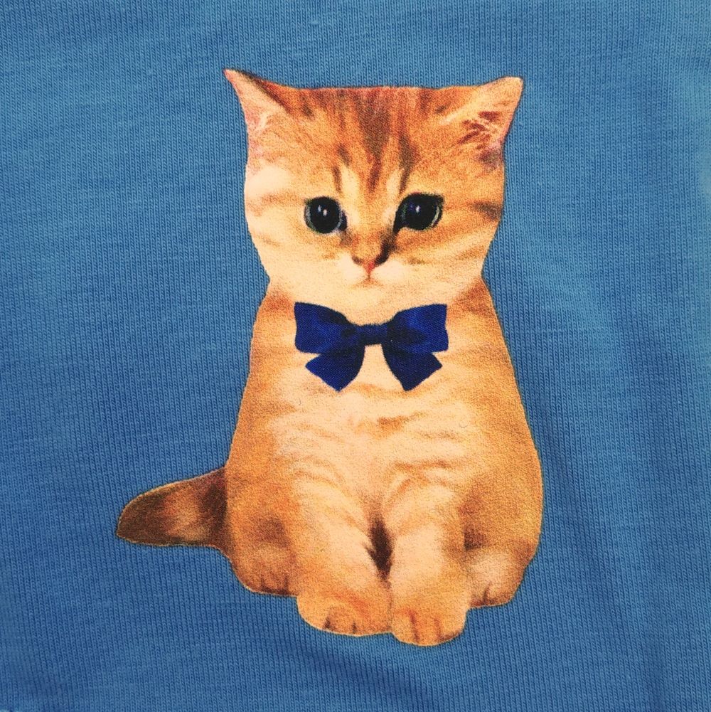 ジプシー総柄&お座りヌネット ポーチ入り2Pボクサーパンツ(ブルー)