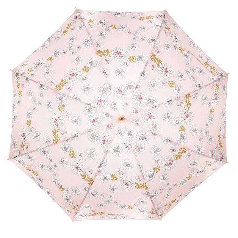 長傘 クリザンテーム ピーチ