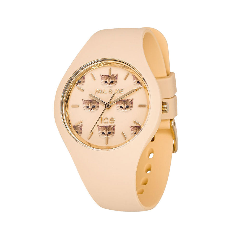 ICE watch - 4