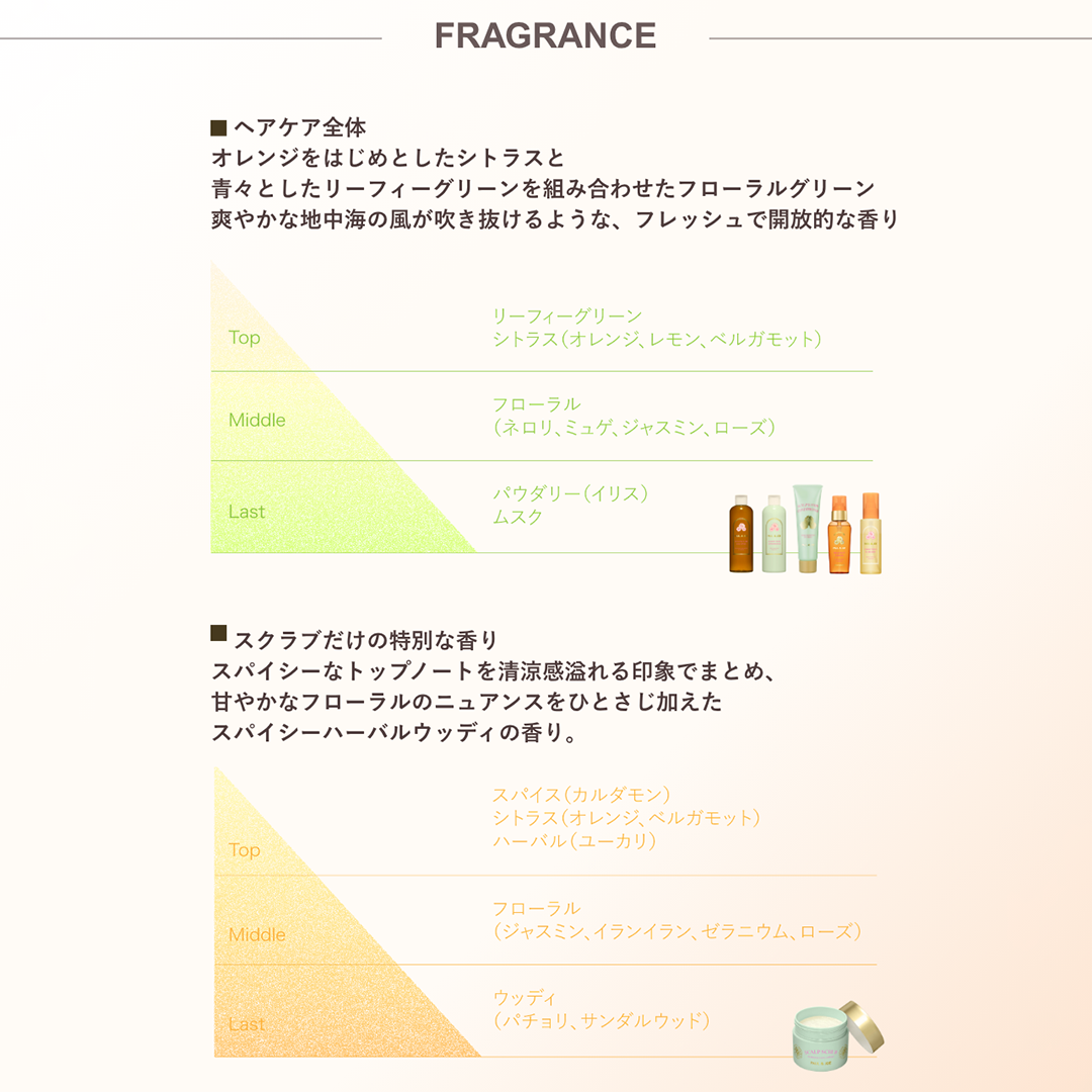 ヘアケア キット 【6月1日(月)発売】｜ポール ＆ ジョー公式オンライン