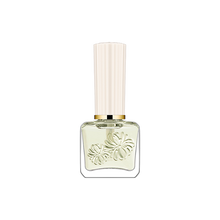 【Petit Gift Collection】ネイル オイル