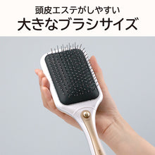 リセットブラシ<br> ホワイト