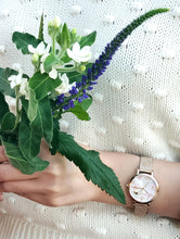 CHRYSANTHEMUN ET NOUNETTE